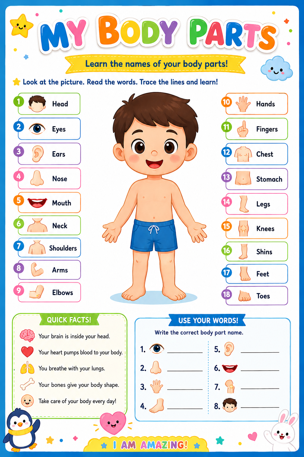 Basic Concepts worksheet for kids - printable PDF